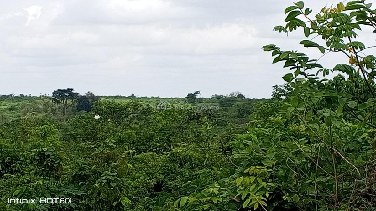 Acres of Land 6 Plots, Ofada Axis, Obafemi Owode, Ogun, Land for Sale