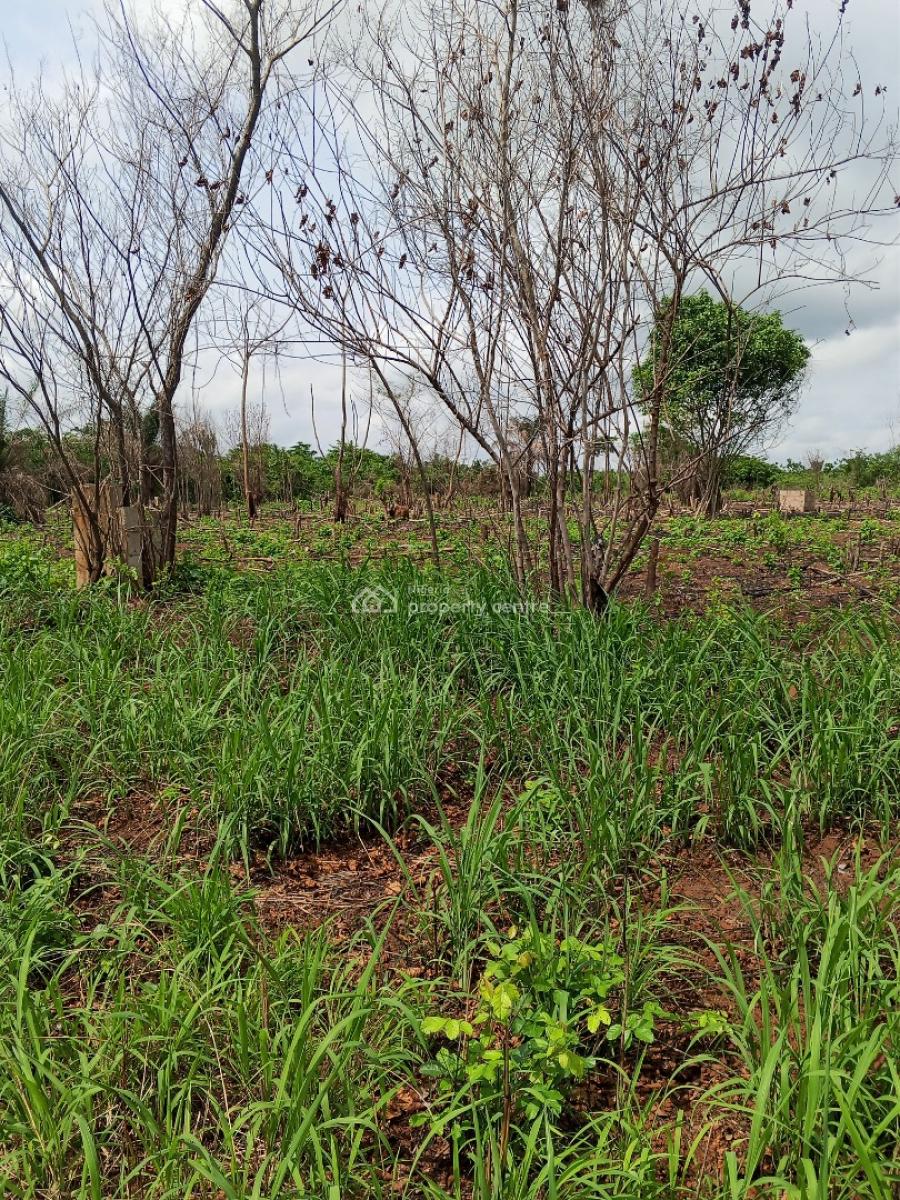 Acres of Land 6 Plots, Ofada Axis, Obafemi Owode, Ogun, Land for Sale