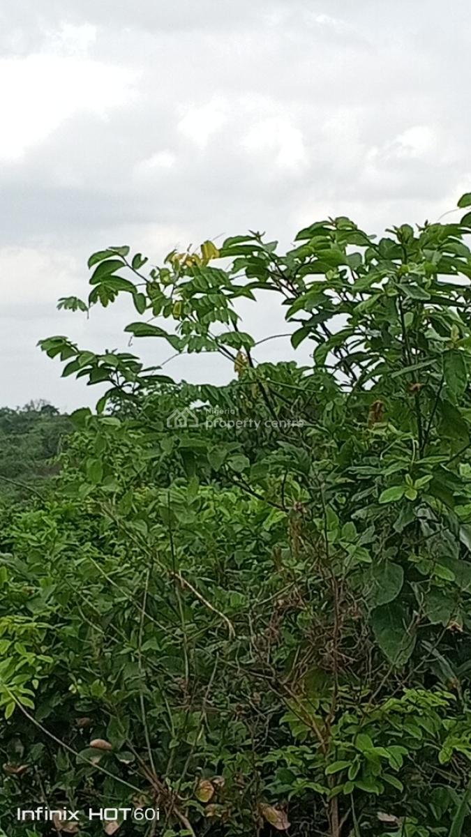 Acres of Land 6 Plots, Ofada Axis, Obafemi Owode, Ogun, Land for Sale