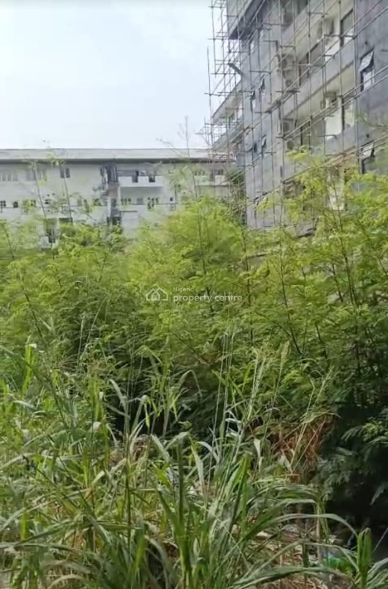 1500sqm Bareland, Banana Island Estate, Banana Island, Ikoyi, Lagos, Land Joint Venture