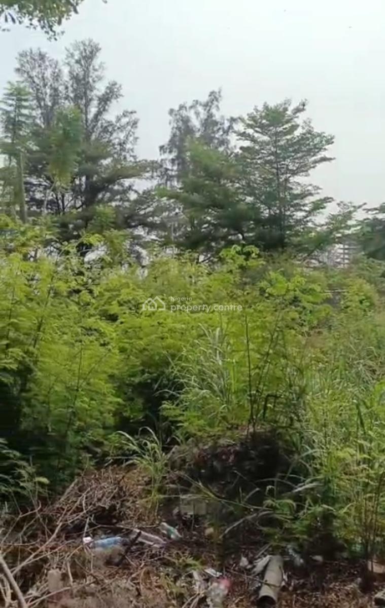 1500sqm Bareland, Banana Island Estate, Banana Island, Ikoyi, Lagos, Land Joint Venture