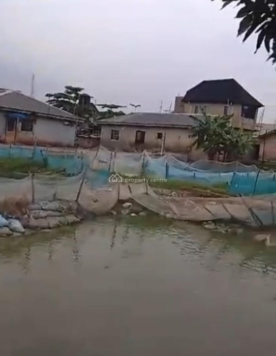 Standard 2 Plots of Land with Fish Pond in Good Residential Area, Behind Christland College, Idimu, Lagos, Mixed-use Land for Sale