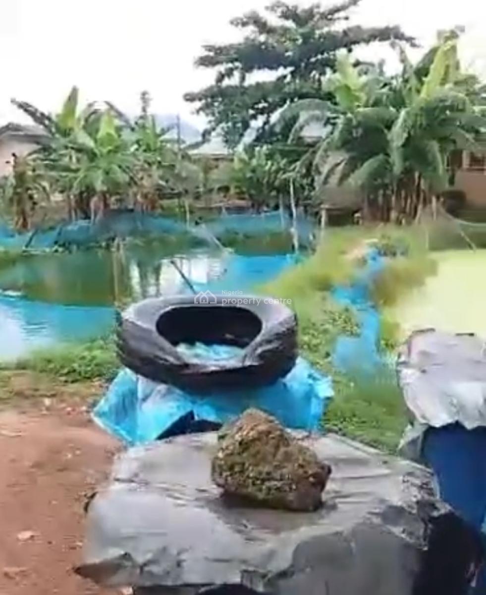 Standard 2 Plots of Land with Fish Pond in Good Residential Area, Behind Christland College, Idimu, Lagos, Mixed-use Land for Sale