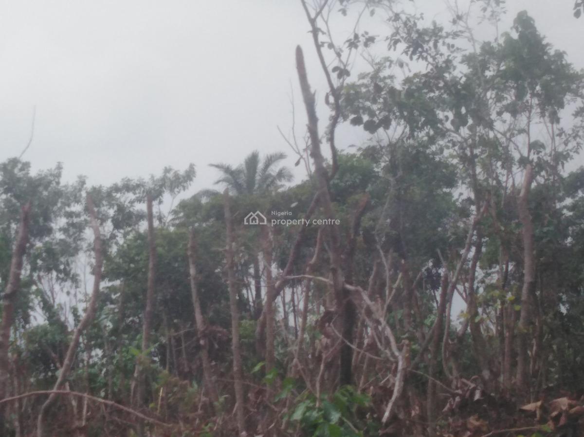 a Prime Plot of Land, Obosima, Owerri West, Imo, Residential Land for Sale