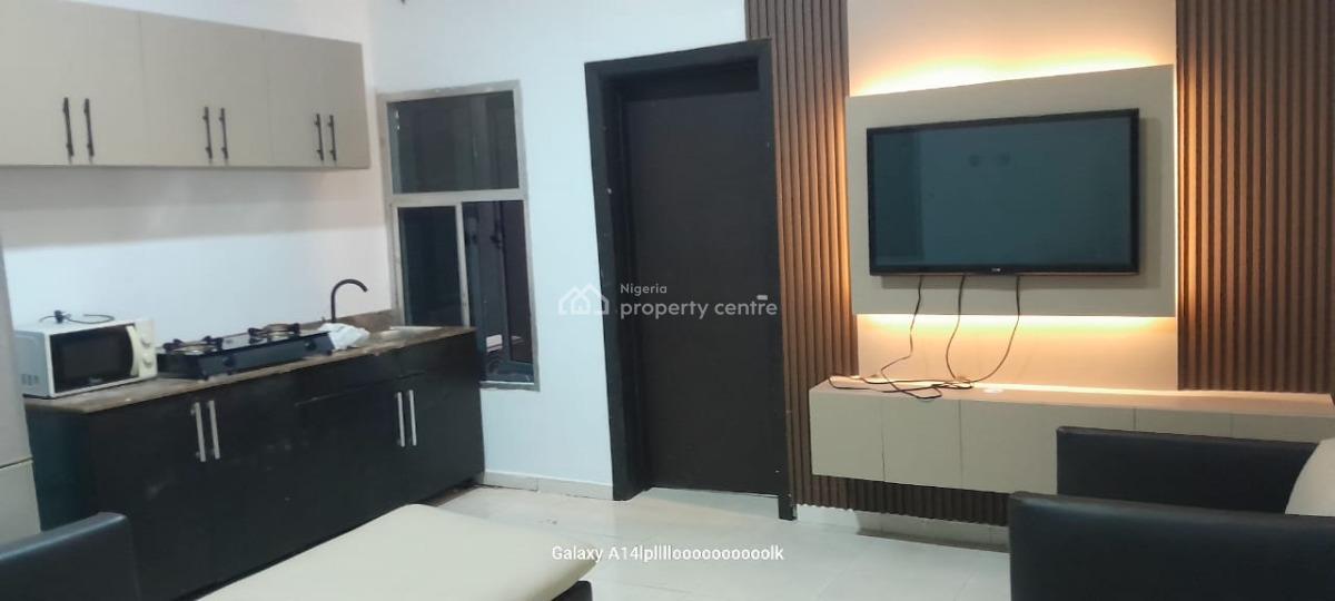 Fully Furnished and Serviced 1 Bedroom Apartment, Lekki Phase 1, Lekki, Lagos, Mini Flat (room and Parlour) for Rent