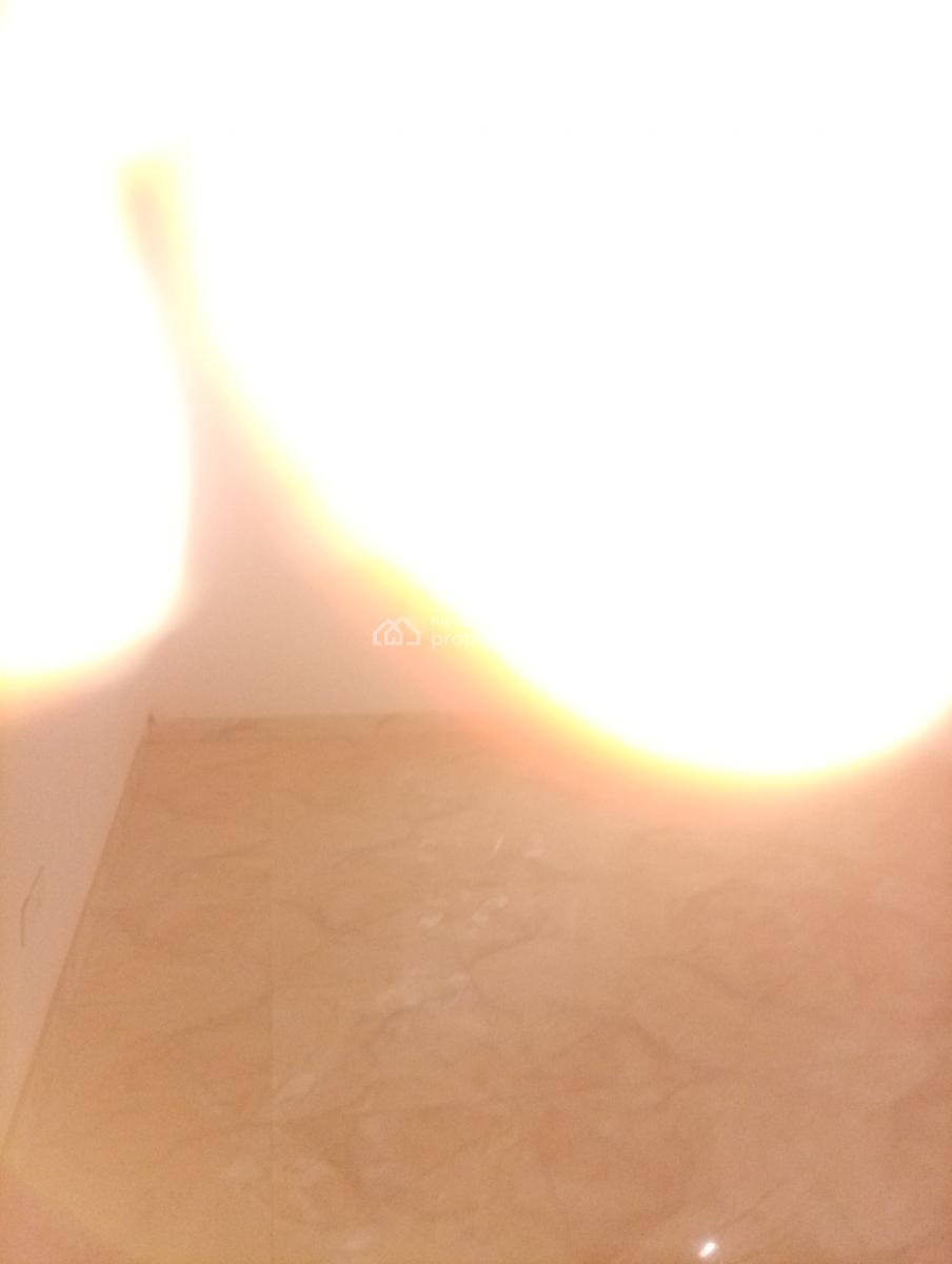 Tastefully Finished( Corner Piece)5 Bedroom Detached Duplex with a Bq, Asokoro District, Abuja, Detached Duplex for Sale