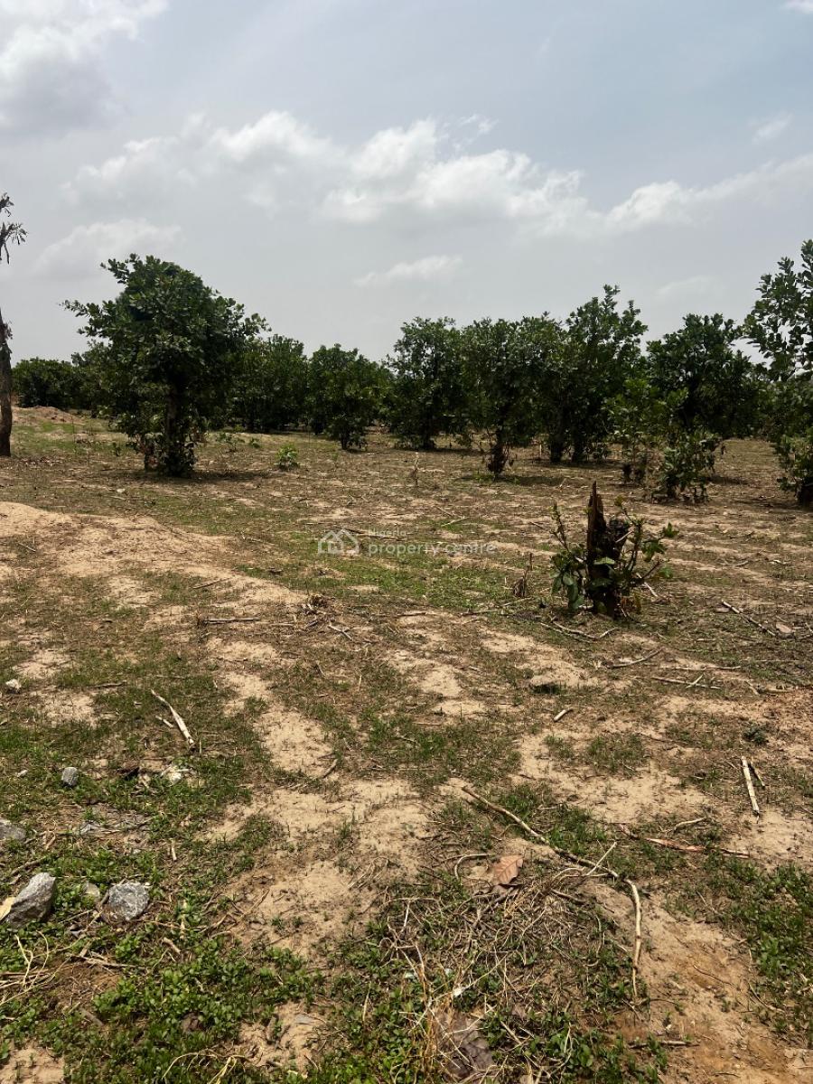 Land,  170sqm, Fcda, C of O, Apo, Abuja, Residential Land for Sale