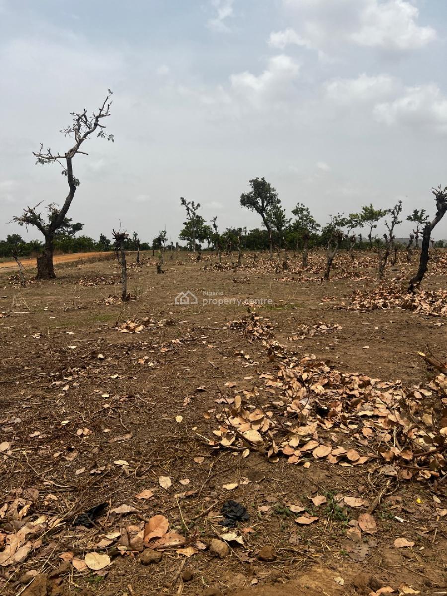 Land 250sqm  Fcda C of O, Apo, Abuja, Residential Land for Sale