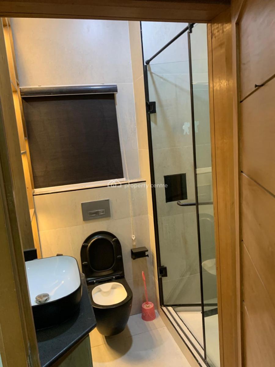 Luxury Furniture 2 Bedroom with 24 Hours Light, Ikate Elegushi, Lekki, Lagos, Flat / Apartment for Rent