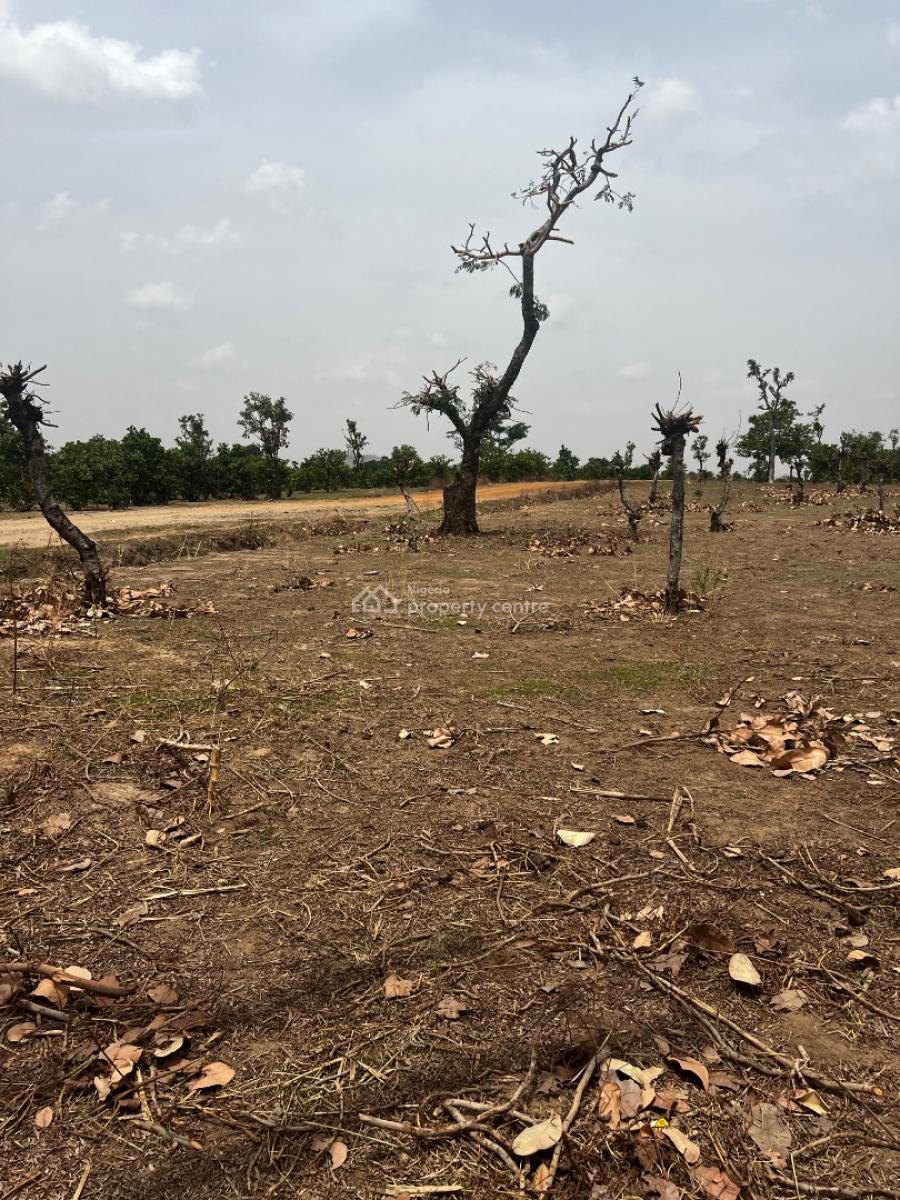 Land in 450sqm  Fcda C of O  ₦12m, Apo, Abuja, Residential Land for Sale