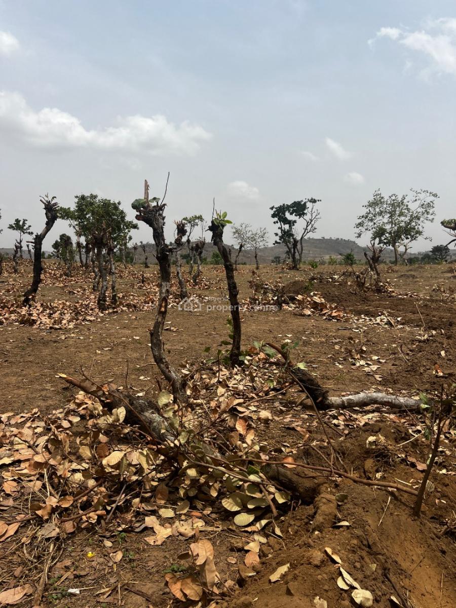 Land in 450sqm  Fcda C of O  ₦12m, Apo, Abuja, Residential Land for Sale