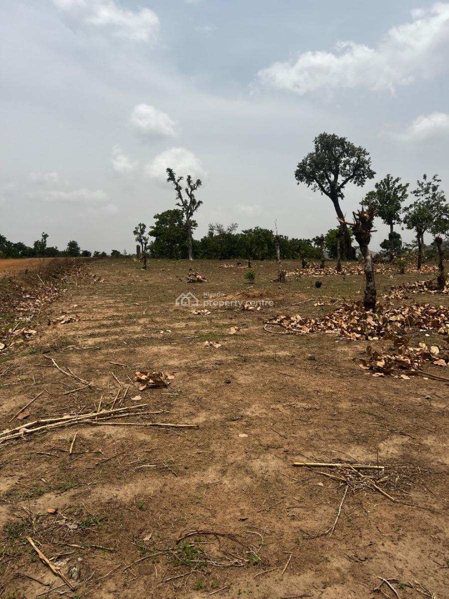 Land 600sqm  Fcda C of O  ₦15.9m, Apo, Abuja, Residential Land for Sale