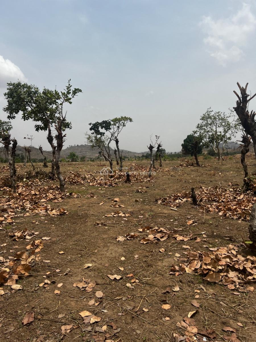 Land 1000sqm  Fcda C of O, Apo, Abuja, Residential Land for Sale