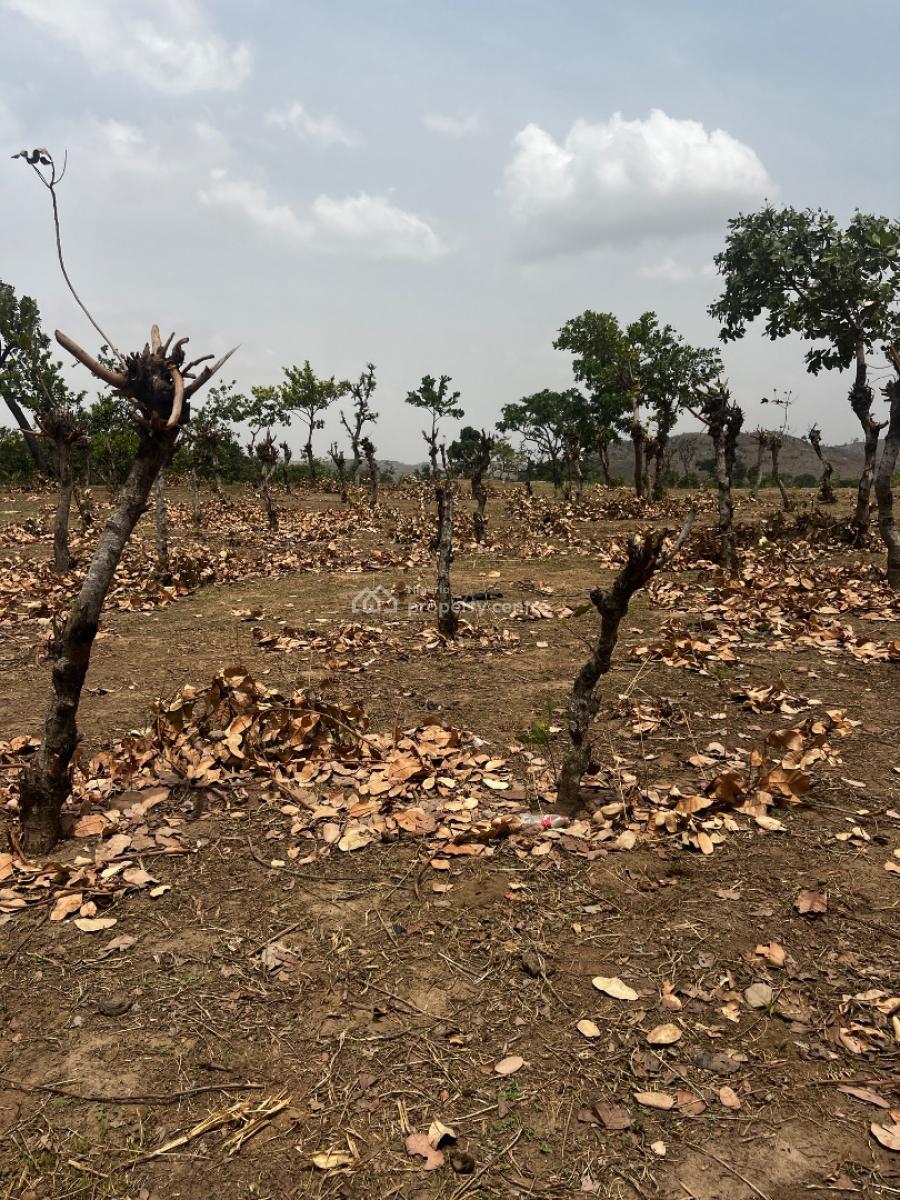 Land 1000sqm  Fcda C of O, Apo, Abuja, Residential Land for Sale