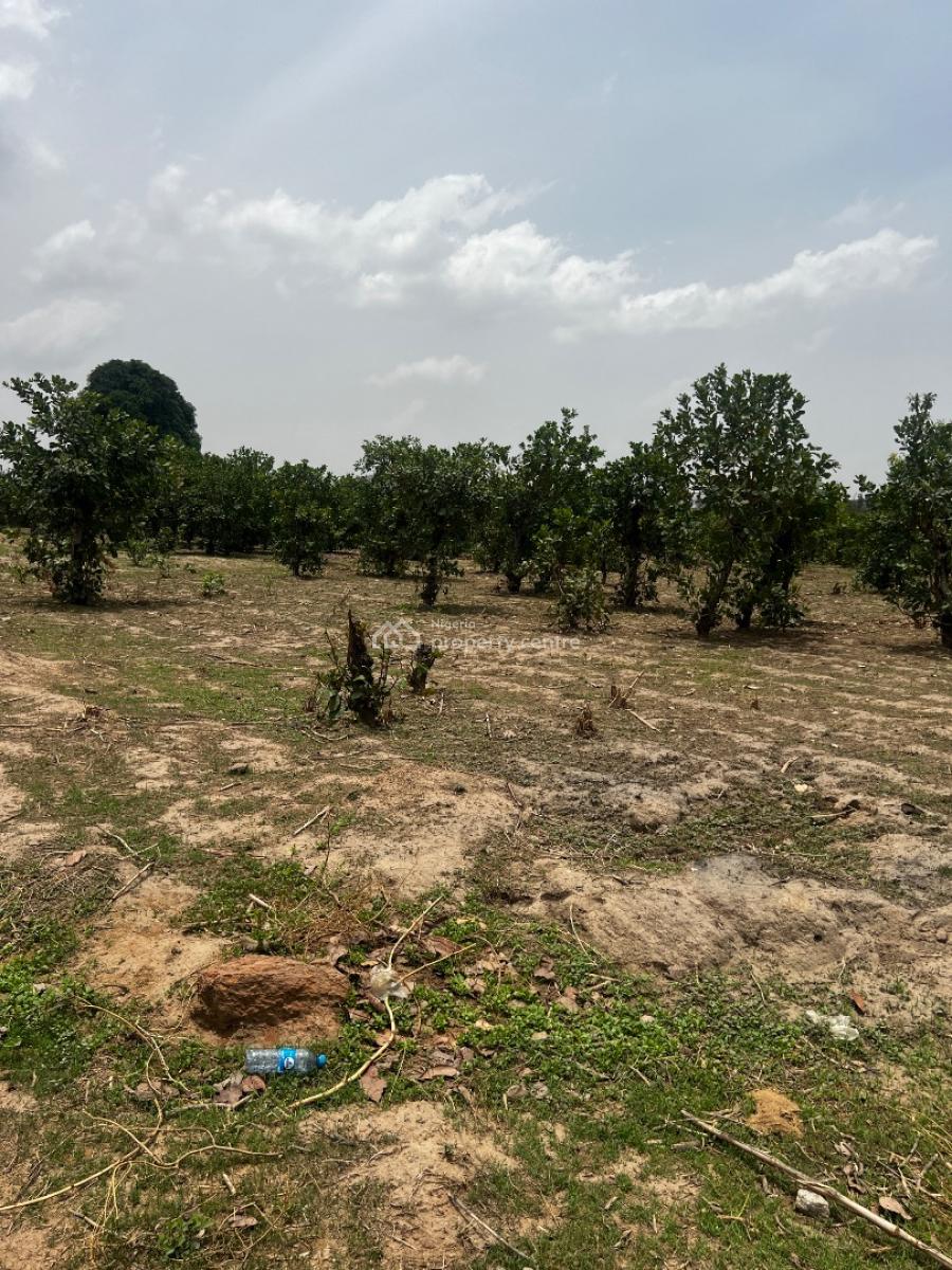 1 Hectare Land Fcda C of O, Apo, Abuja, Residential Land for Sale