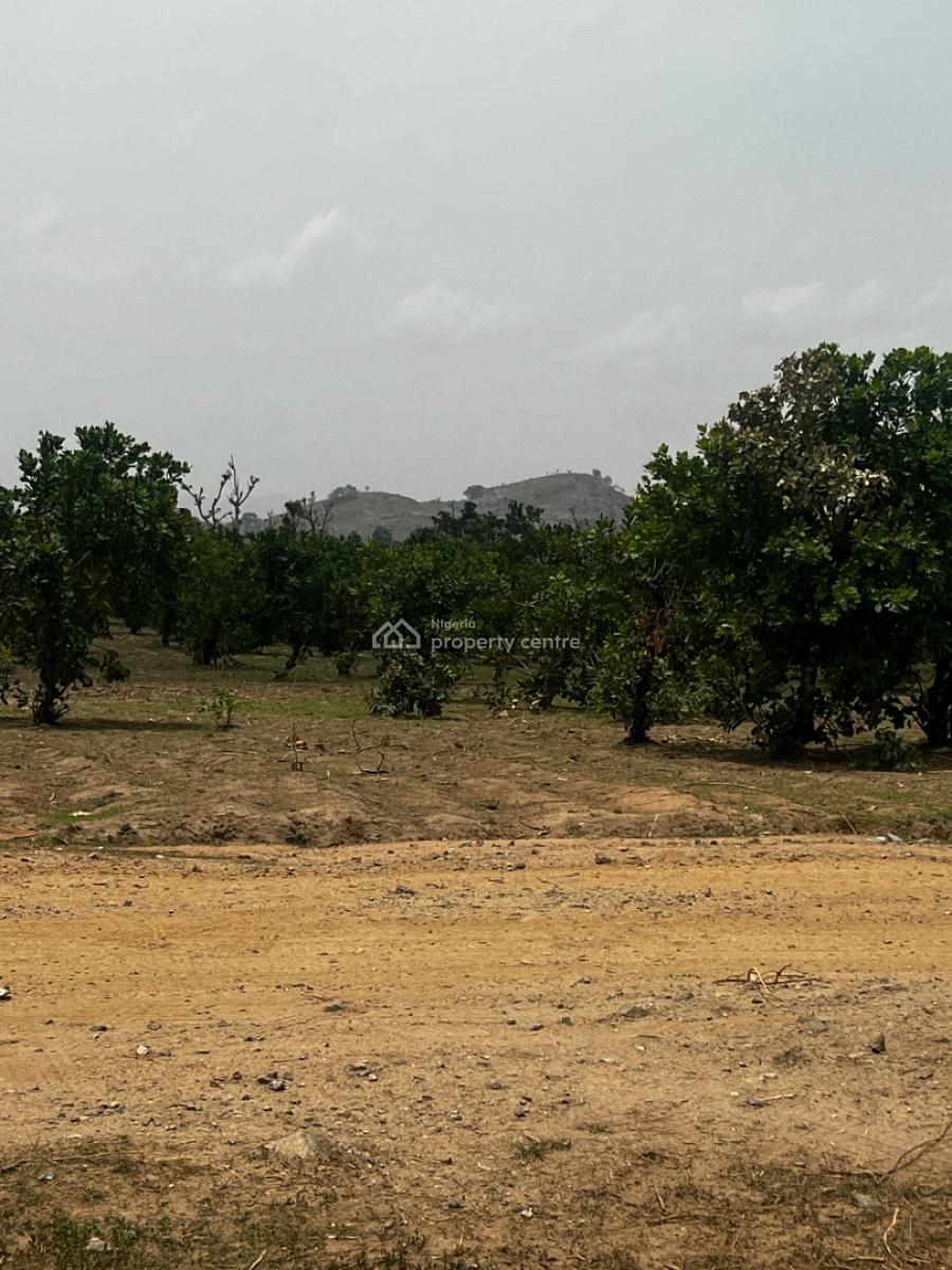 1 Hectare Land Fcda C of O, Apo, Abuja, Residential Land for Sale