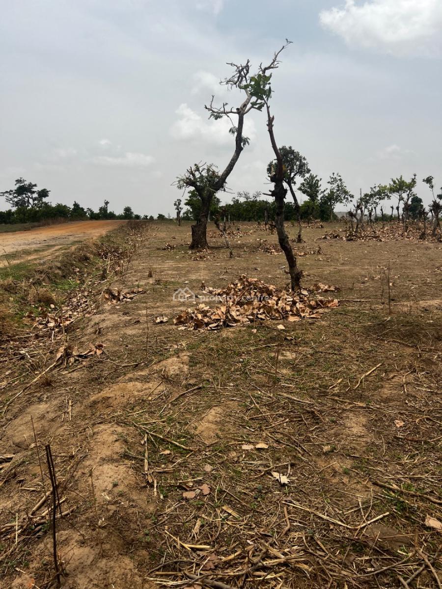 1 Hectare Land Fcda C of O, Apo, Abuja, Residential Land for Sale