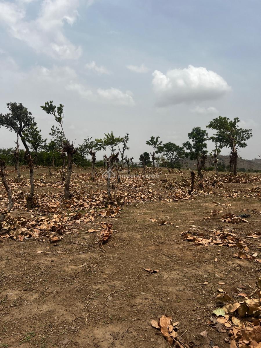 1 Hectare Land Fcda C of O, Apo, Abuja, Residential Land for Sale