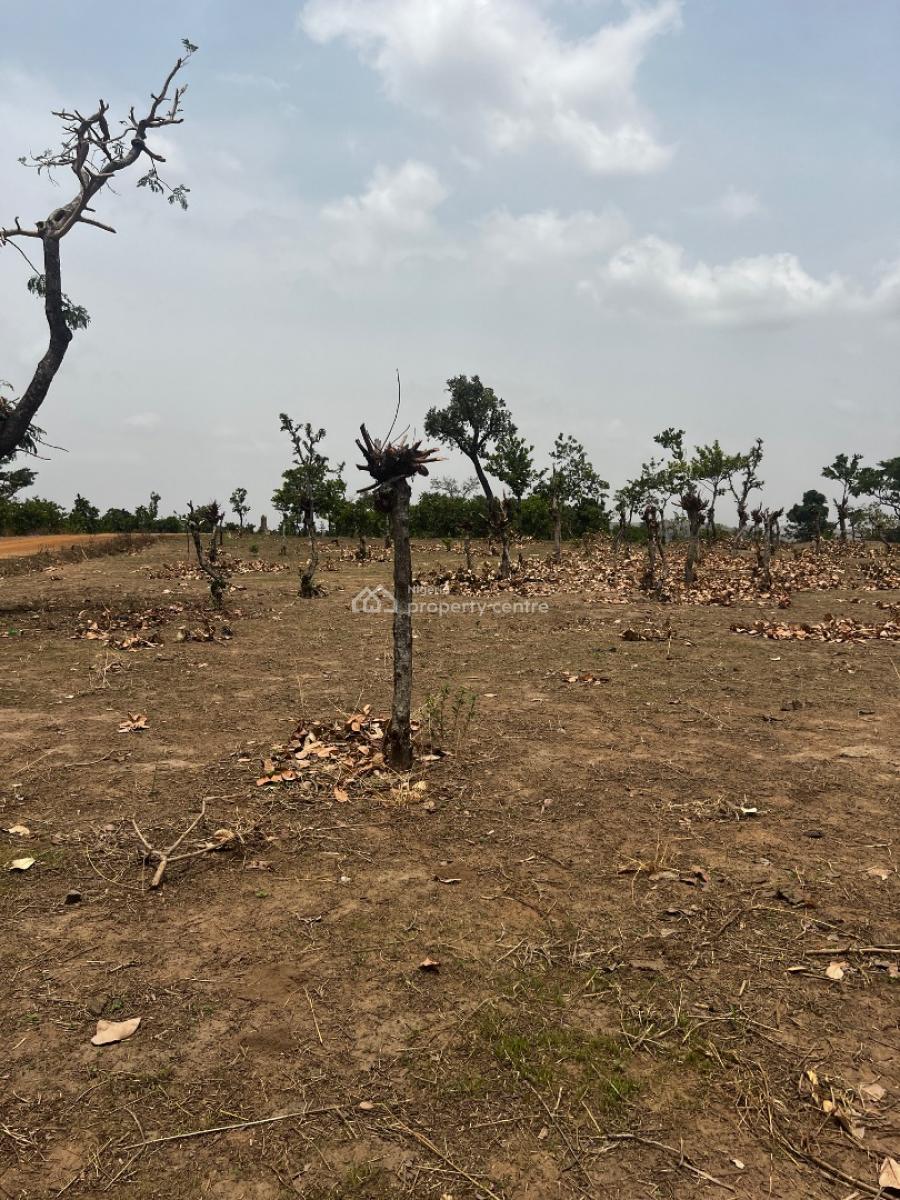 1 Hectare Land Fcda C of O, Apo, Abuja, Residential Land for Sale