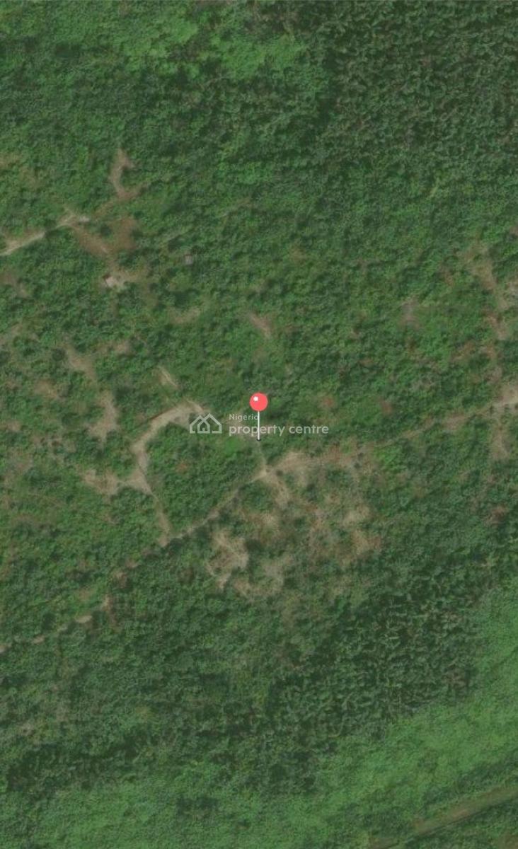 Govt. Land Allocation, Scheme Extension, Ibeju Lekki, Lagos, Land for Sale