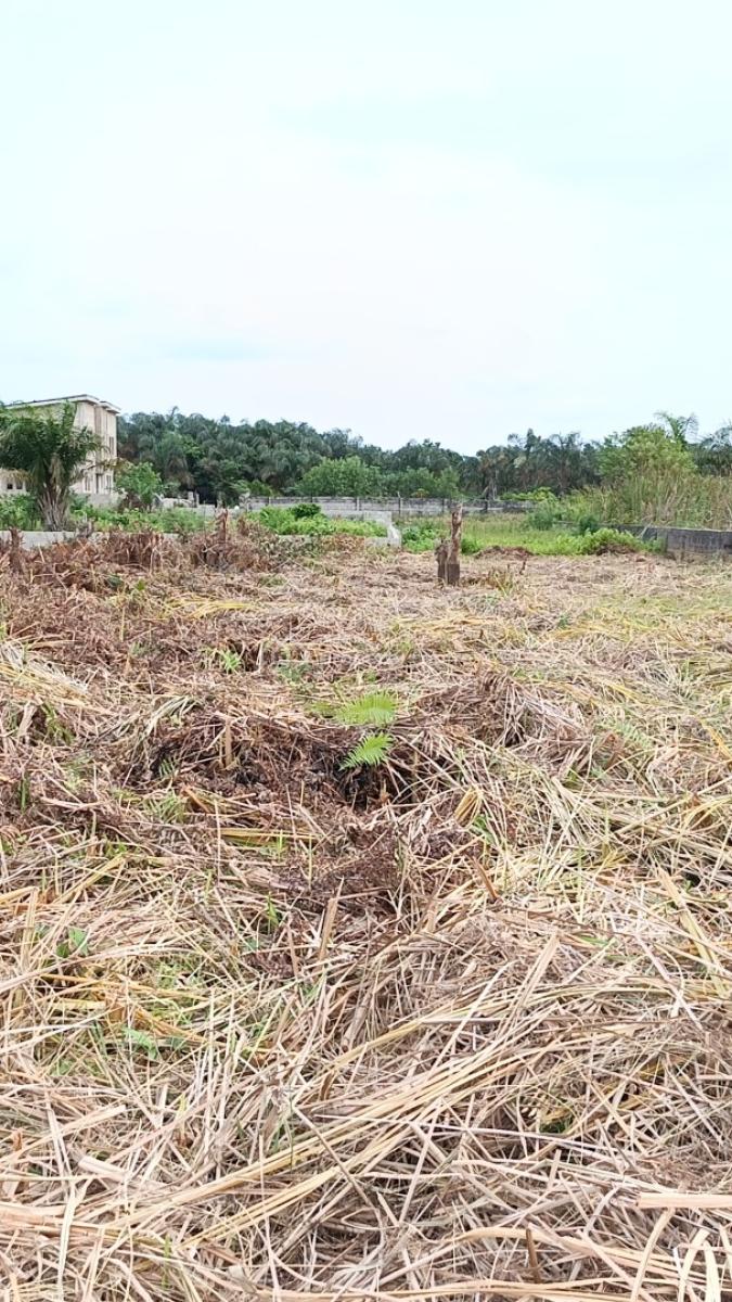 Smart 100% Dry Land By 360+ Sqm., in a Estate at Ogombo Abraham Adesanya Axis Ajah Lagos., Ajah, Lagos, Mixed-use Land for Sale