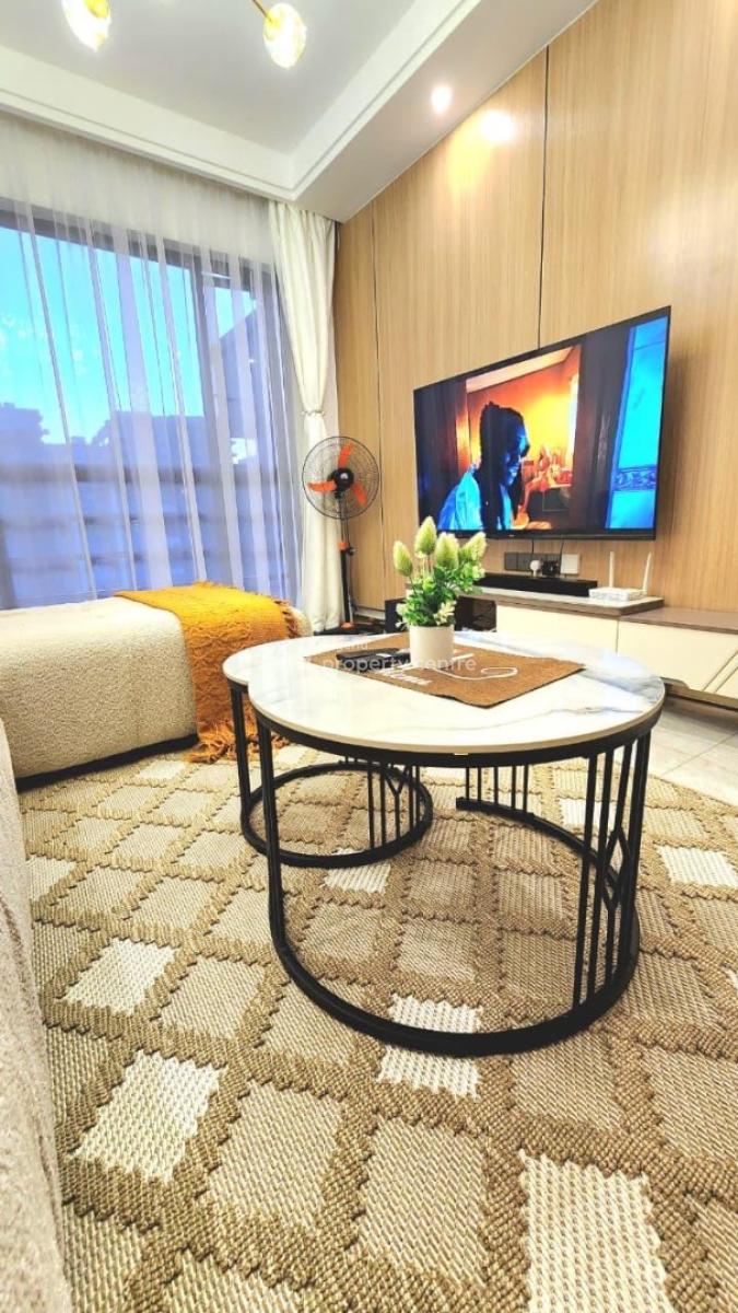 Newly Furnished 2 Bedroom Luxury Apartment with 24 Hours Light, Lekki Phase 1, Lekki, Lagos, Flat / Apartment Short Let