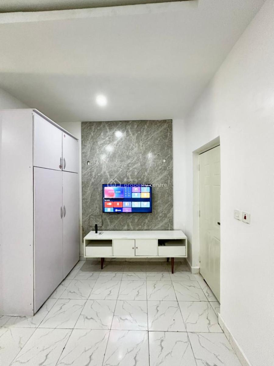 Fully Furnished 2 Bedroom Apartment, Ikate, Lekki, Lagos, Flat / Apartment for Rent