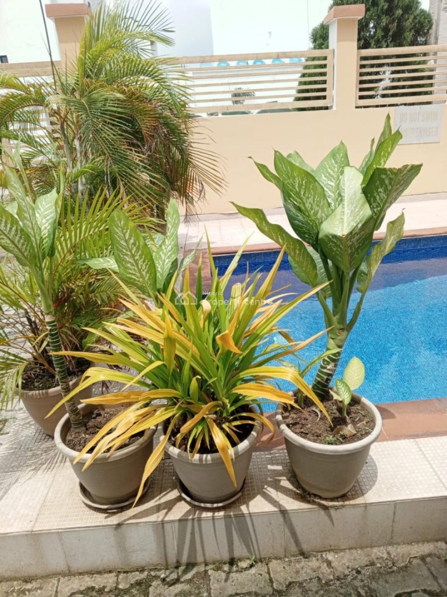 2 Bedroom Penthouse, Lekki, Lekki Phase 1, Lekki, Lagos, Flat / Apartment for Rent