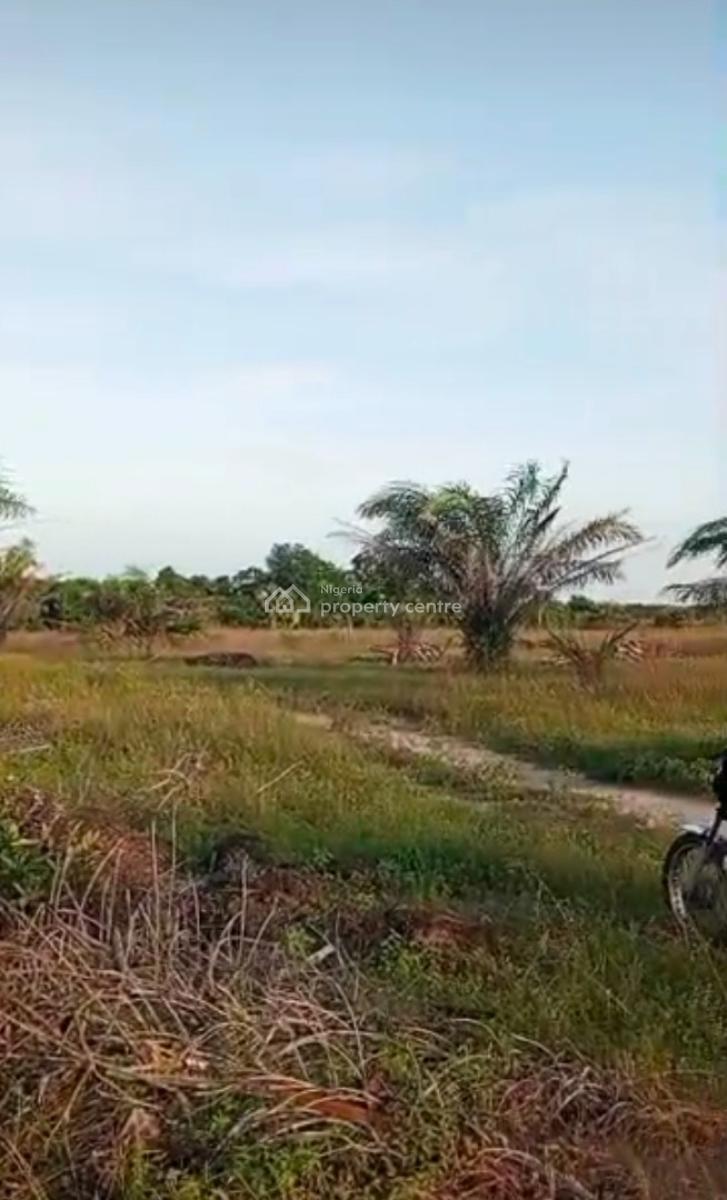 1000 Acres of Farm Land at Iberese Area of Agbara in Ado Odo, Iberese Area of Agbara in Ado Odo Ota Local Government Area of Ogun St, Agbara-igbesa, Lagos, Mixed-use Land for Sale