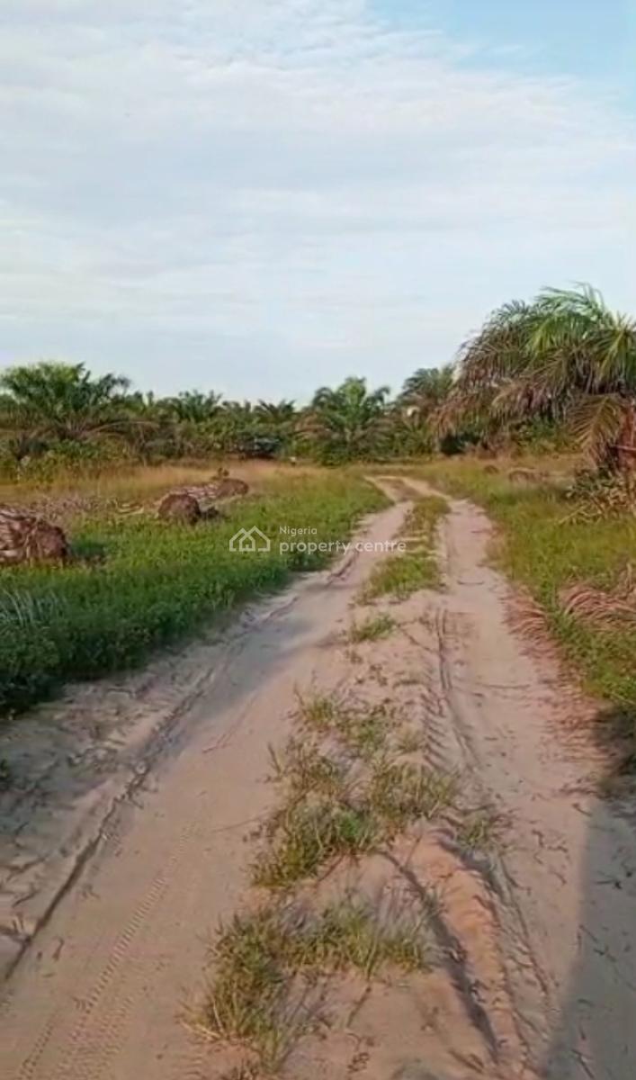 1000 Acres of Farm Land at Iberese Area of Agbara in Ado Odo, Iberese Area of Agbara in Ado Odo Ota Local Government Area of Ogun St, Agbara-igbesa, Lagos, Mixed-use Land for Sale