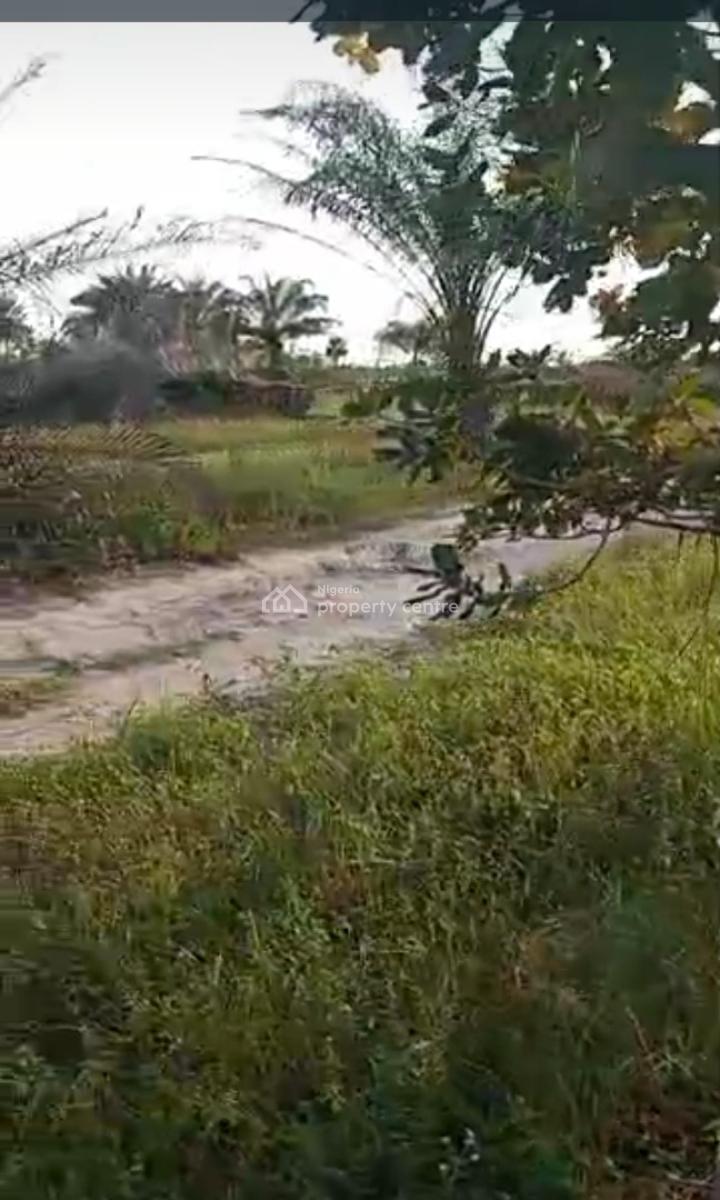 1000 Acres of Farm Land at Iberese Area of Agbara in Ado Odo, Iberese Area of Agbara in Ado Odo Ota Local Government Area of Ogun St, Agbara-igbesa, Lagos, Mixed-use Land for Sale