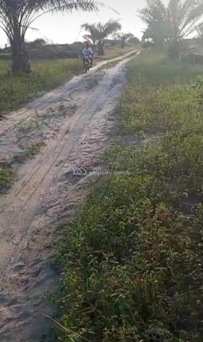 1000 Acres of Farm Land at Iberese Area of Agbara in Ado Odo, Iberese Area of Agbara in Ado Odo Ota Local Government Area of Ogun St, Agbara-igbesa, Lagos, Mixed-use Land for Sale