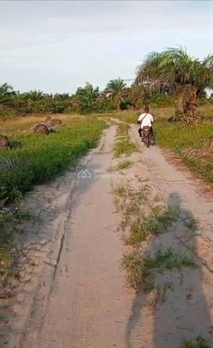 1000 Acres of Farm Land at Iberese Area of Agbara in Ado Odo, Iberese Area of Agbara in Ado Odo Ota Local Government Area of Ogun St, Agbara-igbesa, Lagos, Mixed-use Land for Sale