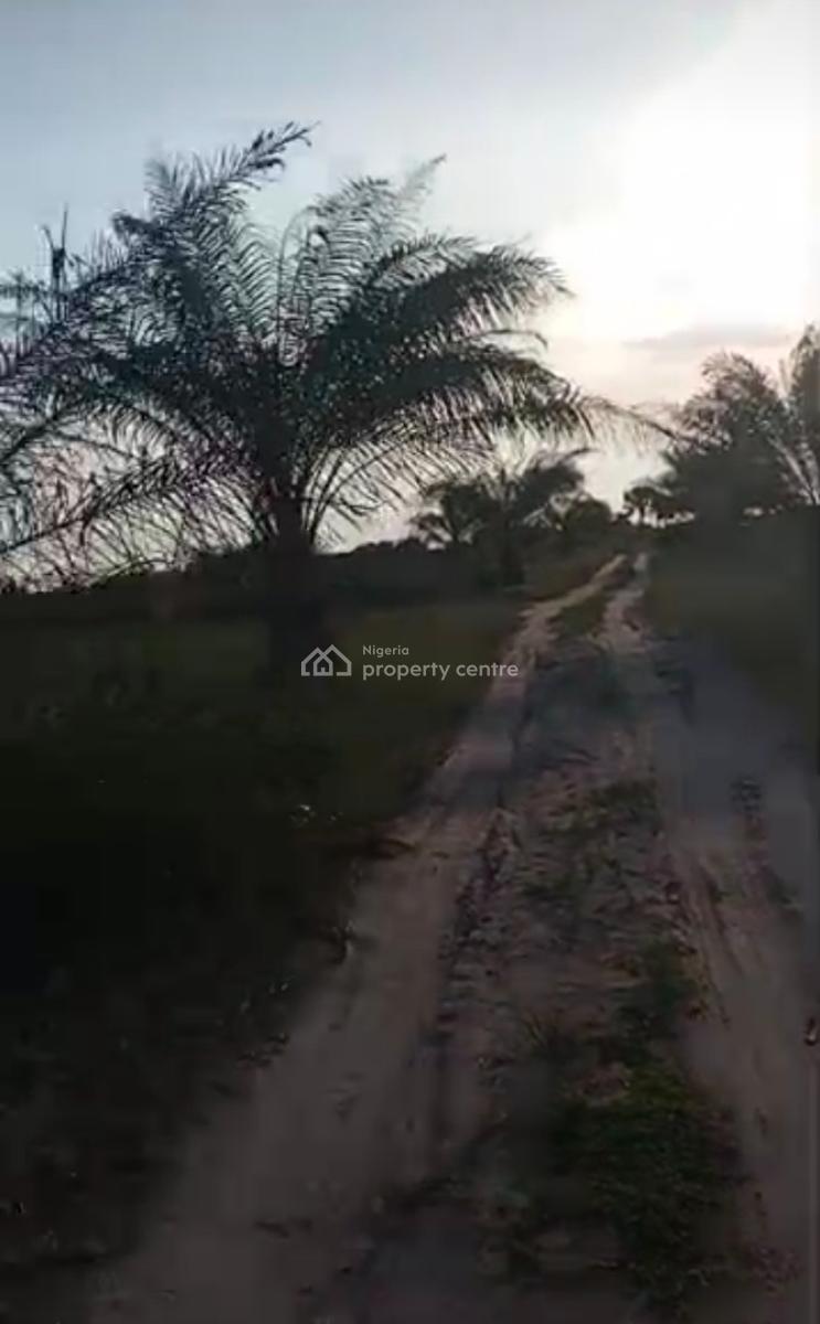 1000 Acres of Farm Land at Iberese Area of Agbara in Ado Odo, Iberese Area of Agbara in Ado Odo Ota Local Government Area of Ogun St, Agbara-igbesa, Lagos, Mixed-use Land for Sale