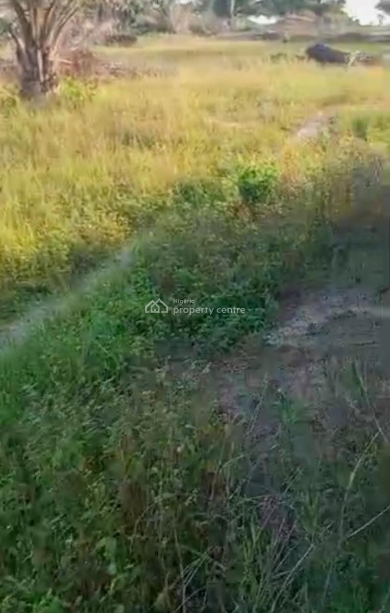 1000 Acres of Farm Land at Iberese Area of Agbara in Ado Odo, Iberese Area of Agbara in Ado Odo Ota Local Government Area of Ogun St, Agbara-igbesa, Lagos, Mixed-use Land for Sale