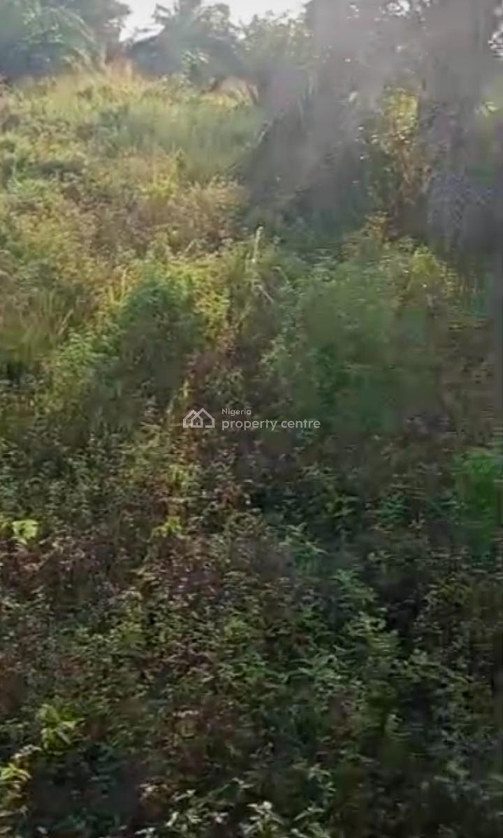 1000 Acres of Farm Land at Iberese Area of Agbara in Ado Odo, Iberese Area of Agbara in Ado Odo Ota Local Government Area of Ogun St, Agbara-igbesa, Lagos, Mixed-use Land for Sale