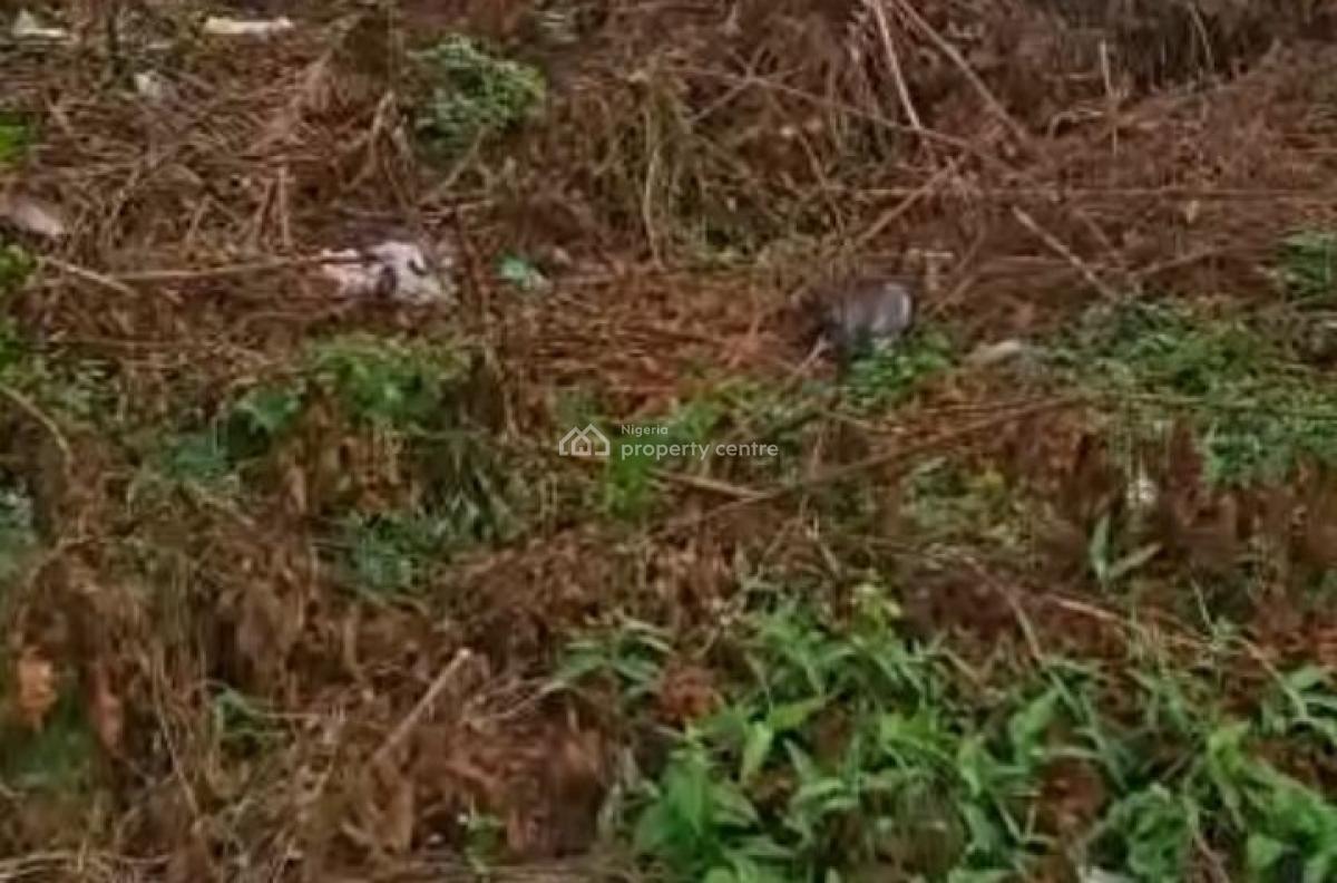 Land Measuring 1,079sqm, Casia Estate Opposite Corona School, Abijo, Lekki, Lagos, Land for Sale