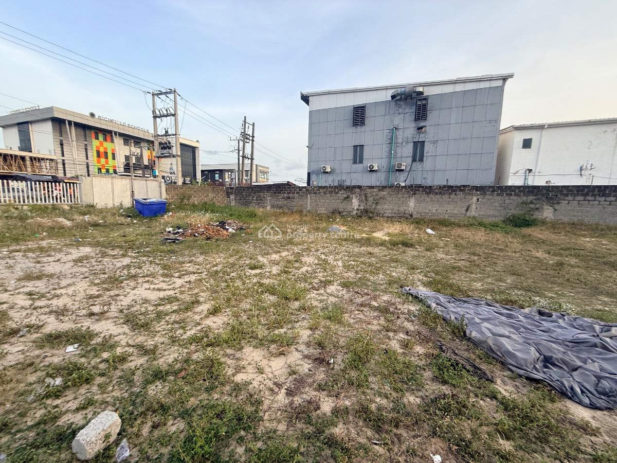 Bare Land Directly, Orchid Road, Lekki, Lagos, Land for Sale