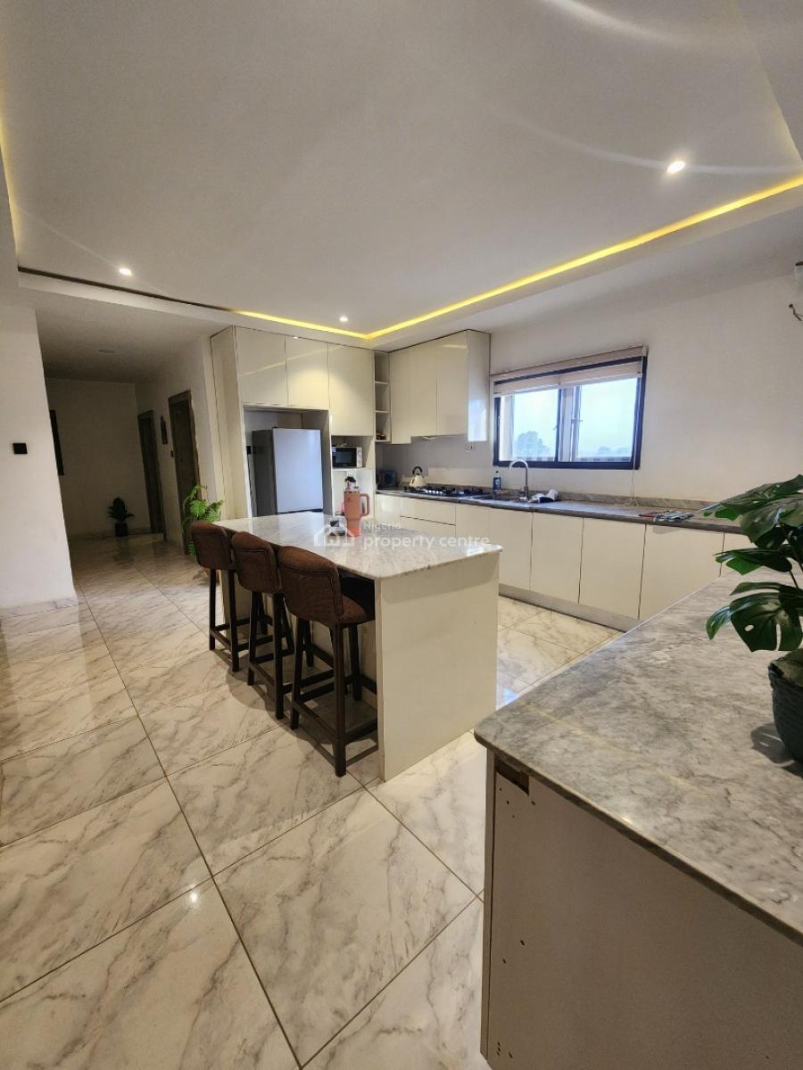 Furnished Luxury 3 Bedrooms Apartment, Garki, Abuja, Flat / Apartment for Rent