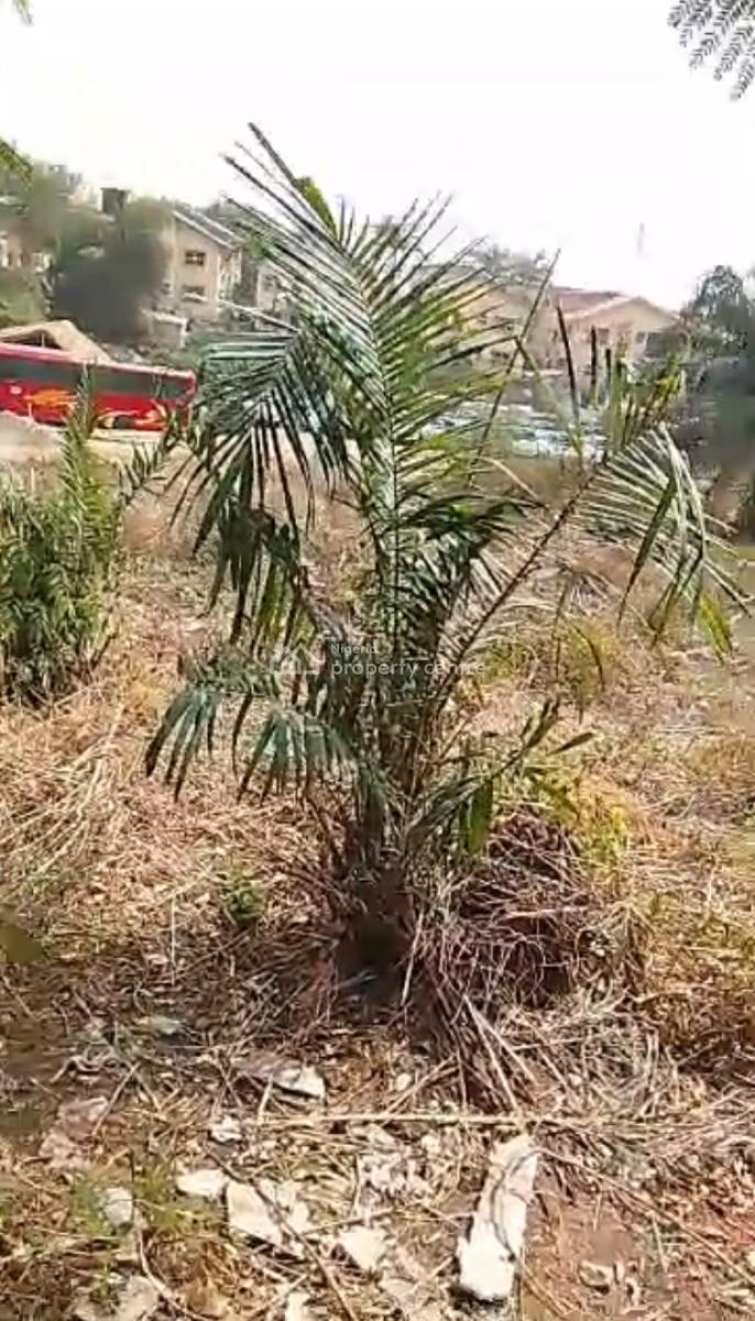 2,000 Sqm of Land, Garki, Abuja, Commercial Land for Rent