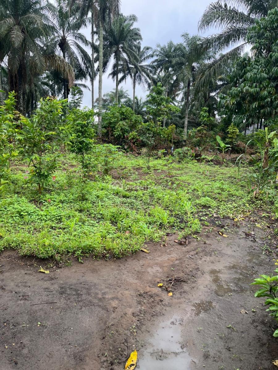 a Parcel of Dry Land, Ikot Ekpene By Uyo Road, Uyo, Akwa Ibom, Residential Land for Sale