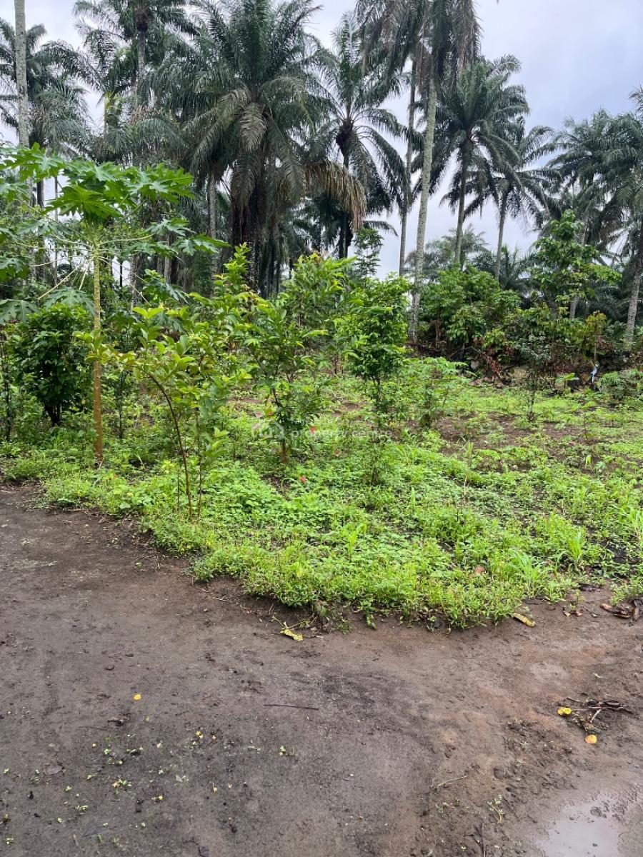 a Parcel of Dry Land, Ikot Ekpene By Uyo Road, Uyo, Akwa Ibom, Residential Land for Sale