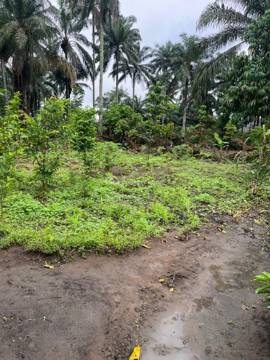 a Parcel of Dry Land, Ikot Ekpene By Uyo Road, Uyo, Akwa Ibom, Residential Land for Sale