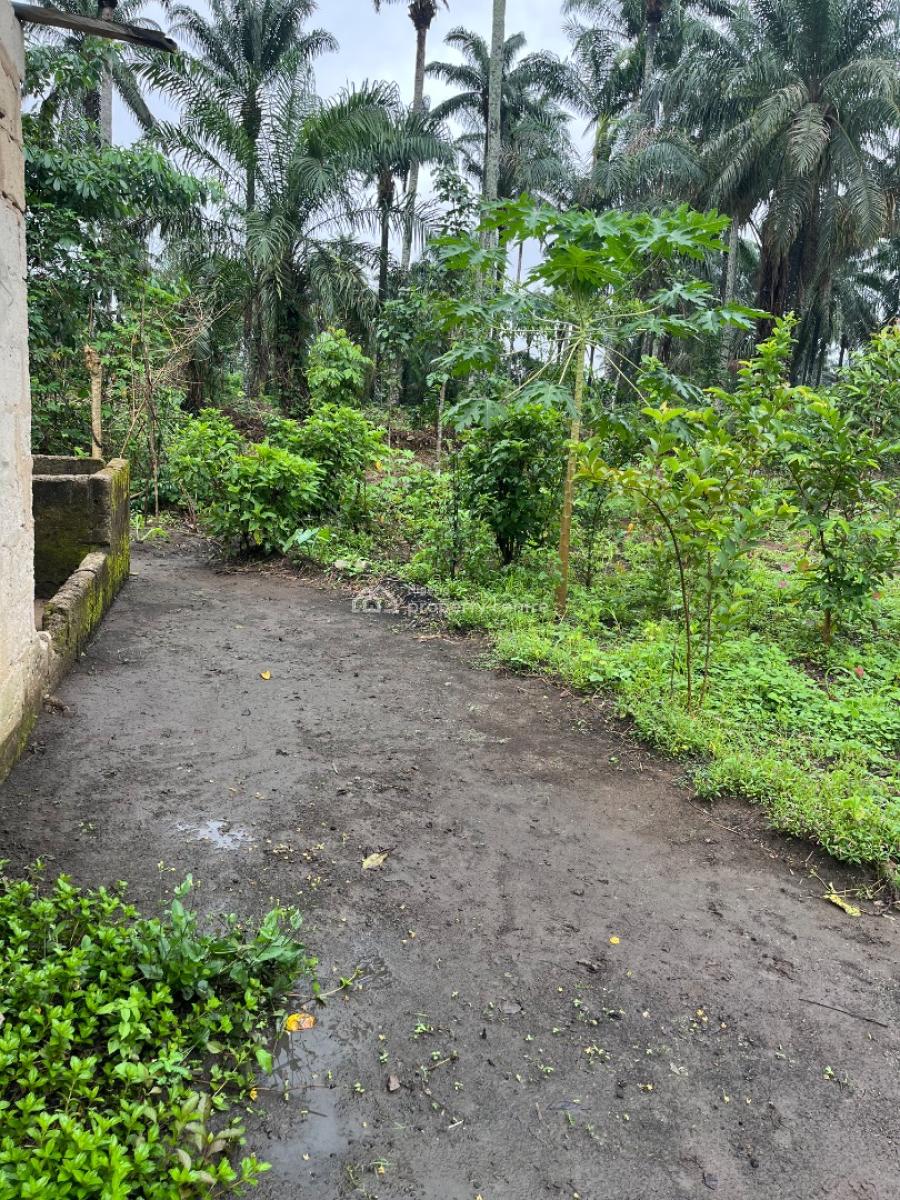 a Parcel of Dry Land, Ikot Ekpene By Uyo Road, Uyo, Akwa Ibom, Residential Land for Sale