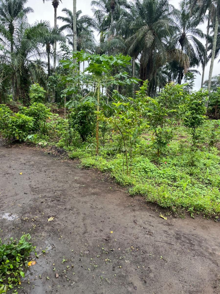 a Parcel of Dry Land, Ikot Ekpene By Uyo Road, Uyo, Akwa Ibom, Residential Land for Sale