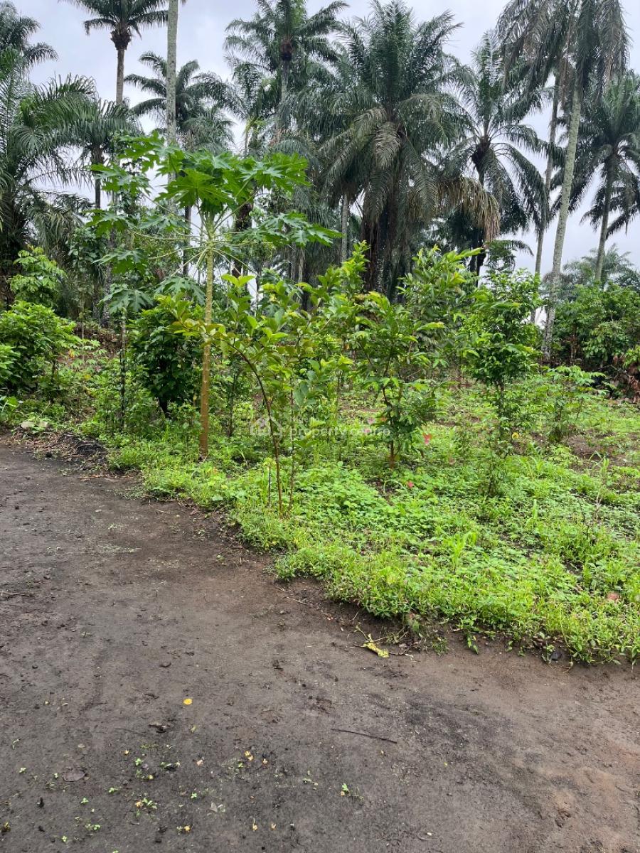 a Parcel of Dry Land, Ikot Ekpene By Uyo Road, Uyo, Akwa Ibom, Residential Land for Sale