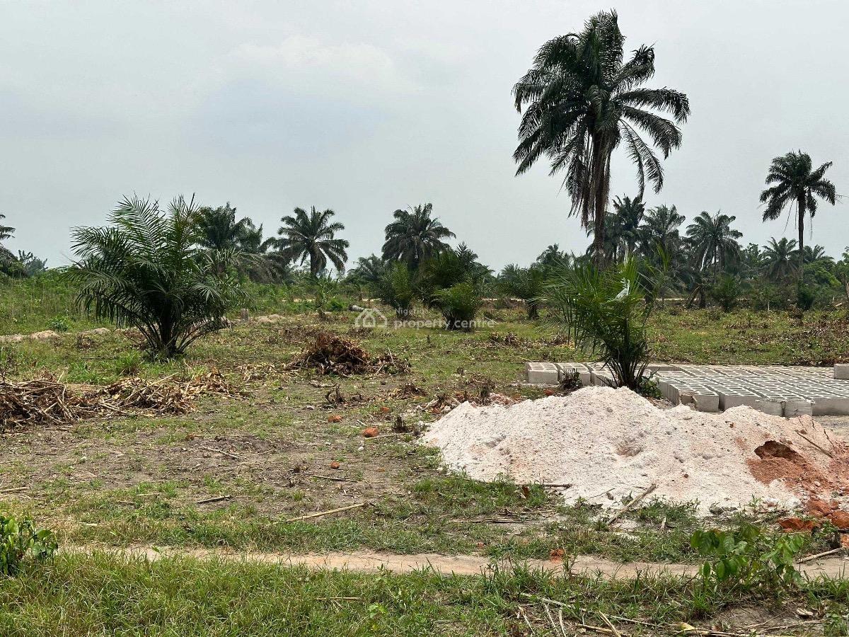 Affordable Farm Land with High Roi Potential, Aiyepe Odogbolu, Odogbolu, Ogun, Tank Farm for Sale