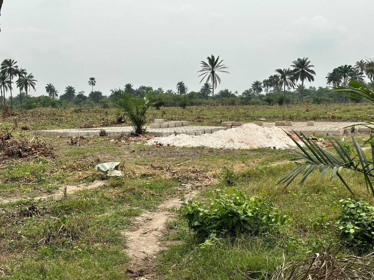 Affordable Farm Land with High Roi Potential, Aiyepe Odogbolu, Odogbolu, Ogun, Tank Farm for Sale