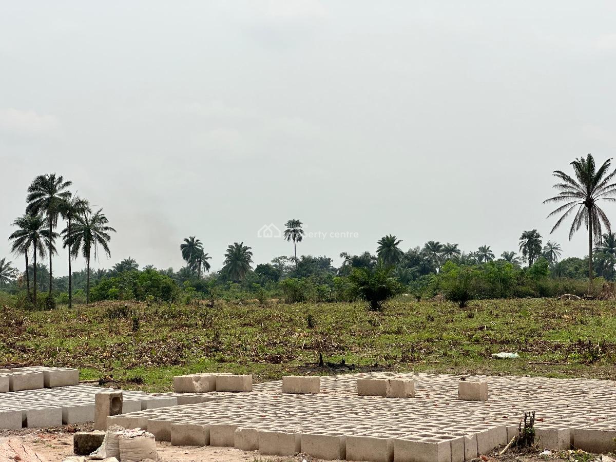 Affordable Farm Land with High Roi Potential, Aiyepe Odogbolu, Odogbolu, Ogun, Tank Farm for Sale