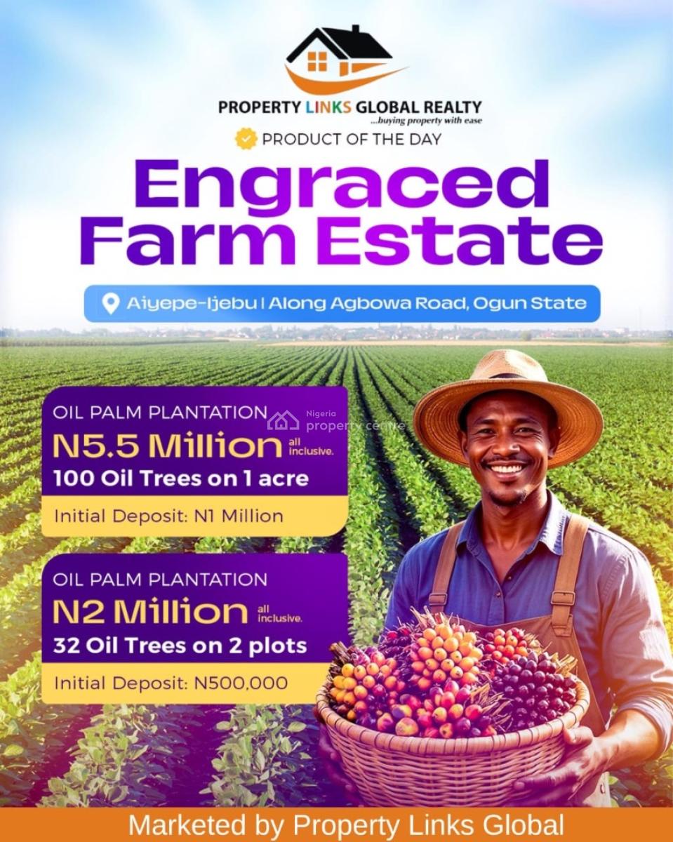 Affordable Farm Land with High Roi Potential, Aiyepe Odogbolu, Odogbolu, Ogun, Tank Farm for Sale